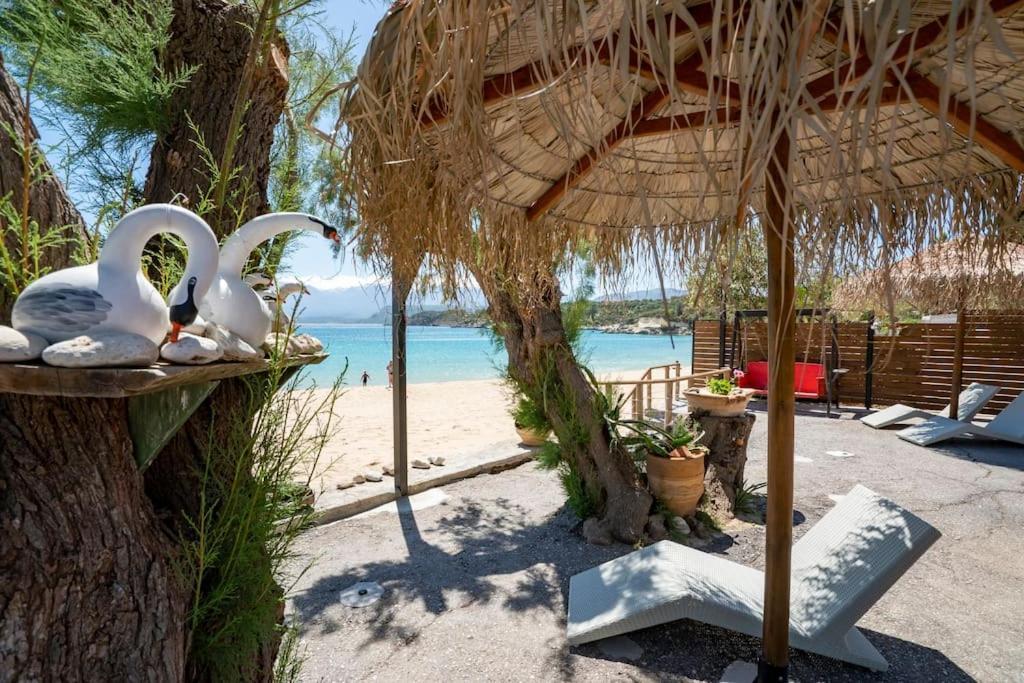 Sea And Sun Metaxy Mas, Brand-New, Beachfront ! Chania  Buitenkant foto